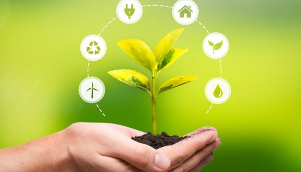 <strong>Facing down the climate crisis: Turning your business green</strong>