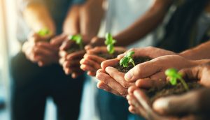 Why has sustainability become a key part of the CIOs role?
